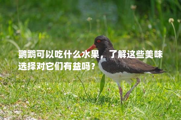 鹦鹉可以吃什么水果，了解这些美味选择对它们有益吗？