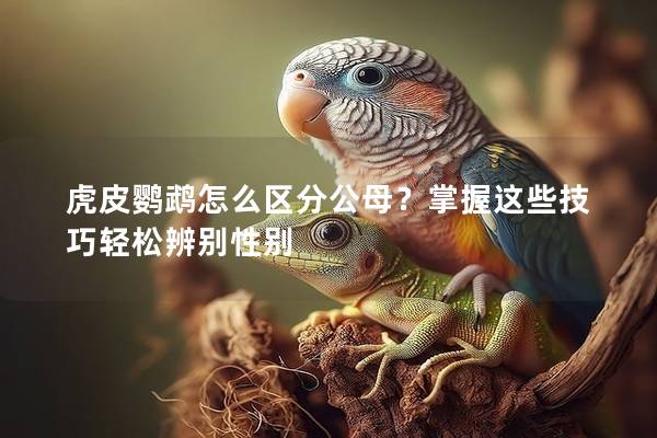 虎皮鹦鹉怎么区分公母？掌握这些技巧轻松辨别性别