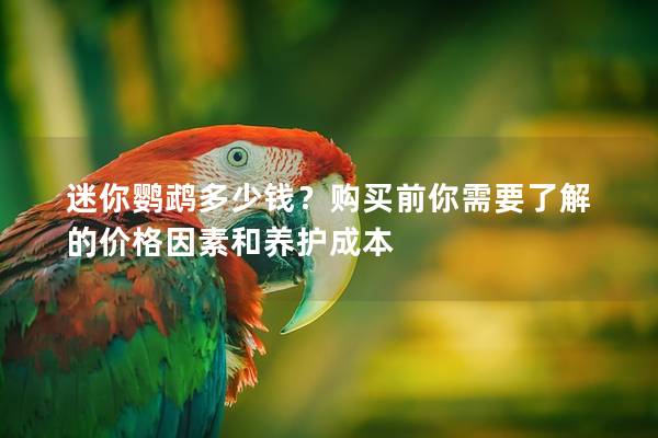 迷你鹦鹉多少钱？购买前你需要了解的价格因素和养护成本