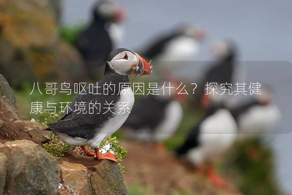 八哥鸟呕吐的原因是什么？探究其健康与环境的关系