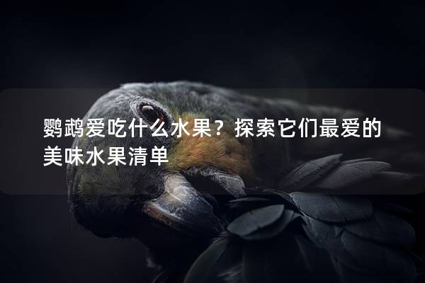 鹦鹉爱吃什么水果？探索它们最爱的美味水果清单