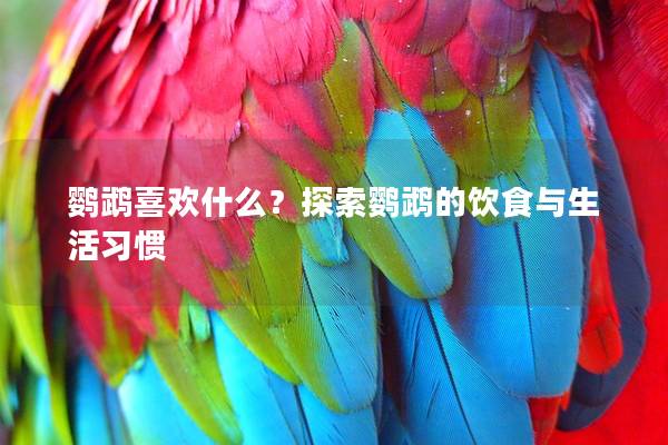 鹦鹉喜欢什么？探索鹦鹉的饮食与生活习惯