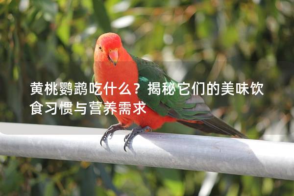 黄桃鹦鹉吃什么？揭秘它们的美味饮食习惯与营养需求