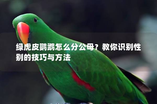 绿虎皮鹦鹉怎么分公母？教你识别性别的技巧与方法