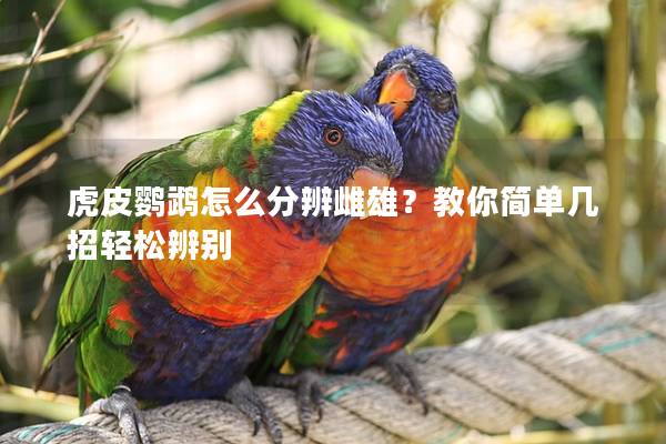 虎皮鹦鹉怎么分辨雌雄？教你简单几招轻松辨别
