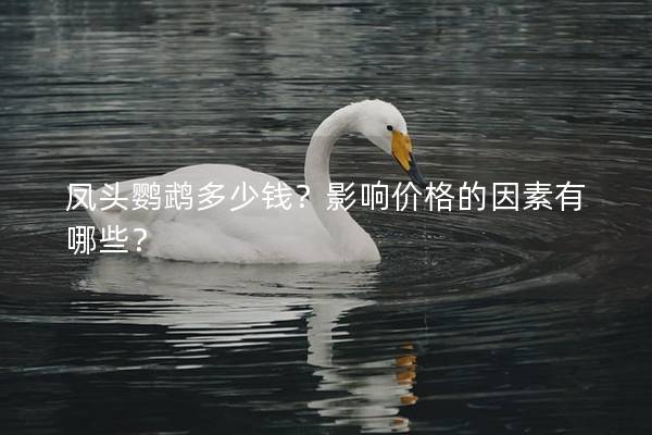 凤头鹦鹉多少钱？影响价格的因素有哪些？