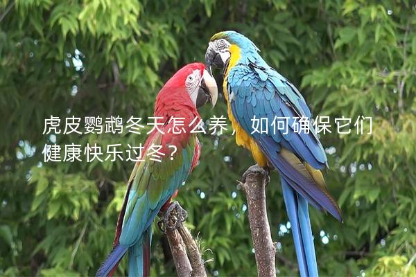 虎皮鹦鹉冬天怎么养，如何确保它们健康快乐过冬？