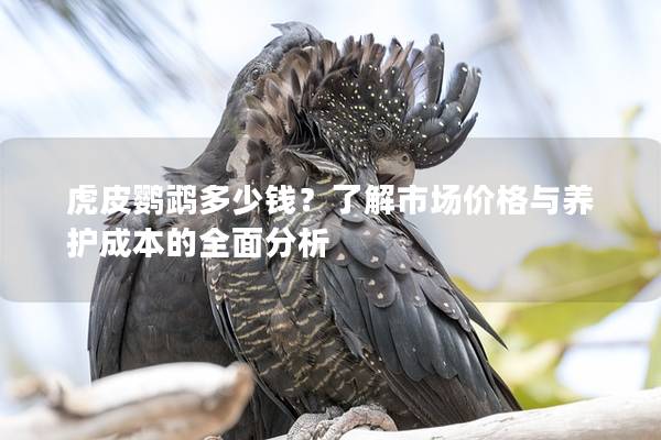 虎皮鹦鹉多少钱？了解市场价格与养护成本的全面分析