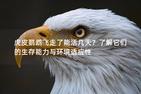 虎皮鹦鹉飞走了能活几天？了解它们的生存能力与环境适应性