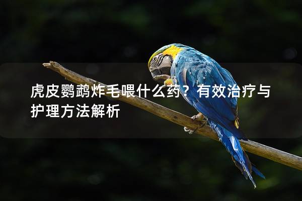 虎皮鹦鹉炸毛喂什么药？有效治疗与护理方法解析