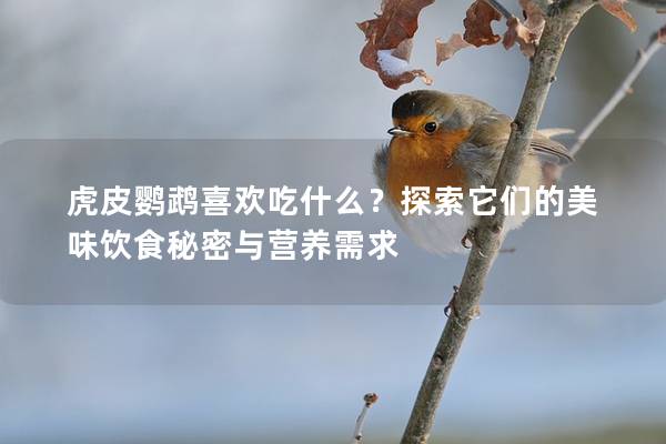 虎皮鹦鹉喜欢吃什么？探索它们的美味饮食秘密与营养需求