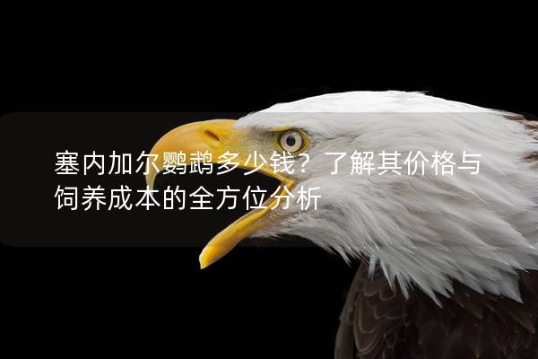 塞内加尔鹦鹉多少钱？了解其价格与饲养成本的全方位分析