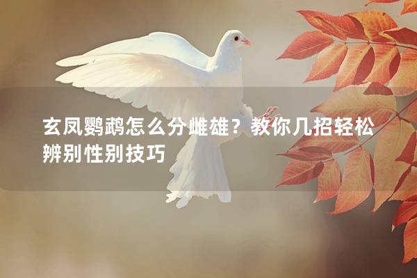 玄凤鹦鹉怎么分雌雄？教你几招轻松辨别性别技巧