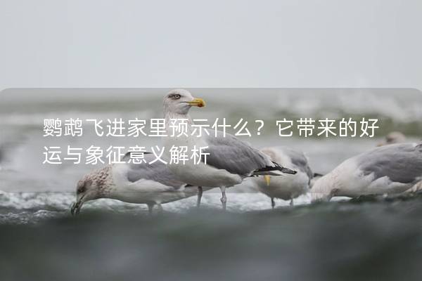 鹦鹉飞进家里预示什么？它带来的好运与象征意义解析