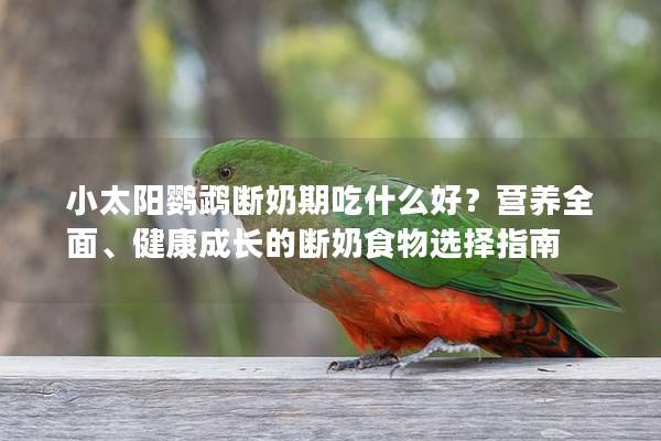 小太阳鹦鹉断奶期吃什么好？营养全面、健康成长的断奶食物选择指南