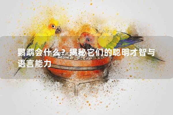 鹦鹉会什么？揭秘它们的聪明才智与语言能力