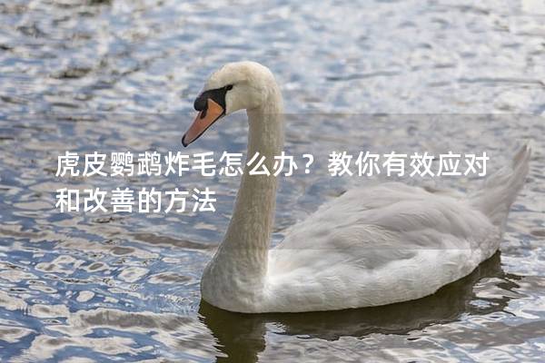 虎皮鹦鹉炸毛怎么办？教你有效应对和改善的方法