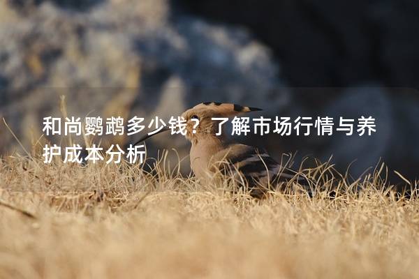 和尚鹦鹉多少钱？了解市场行情与养护成本分析