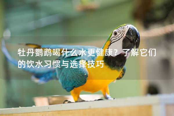 牡丹鹦鹉喝什么水更健康？了解它们的饮水习惯与选择技巧
