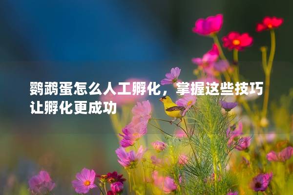 鹦鹉蛋怎么人工孵化，掌握这些技巧让孵化更成功