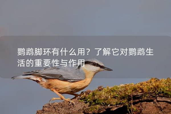 鹦鹉脚环有什么用？了解它对鹦鹉生活的重要性与作用