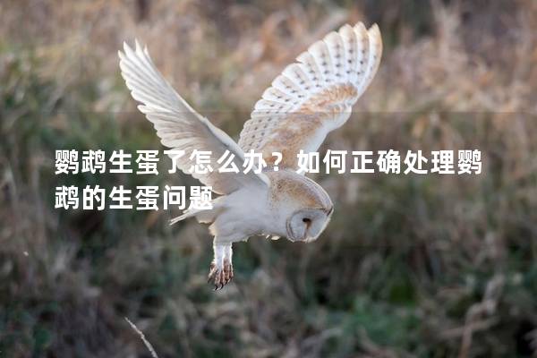 鹦鹉生蛋了怎么办？如何正确处理鹦鹉的生蛋问题