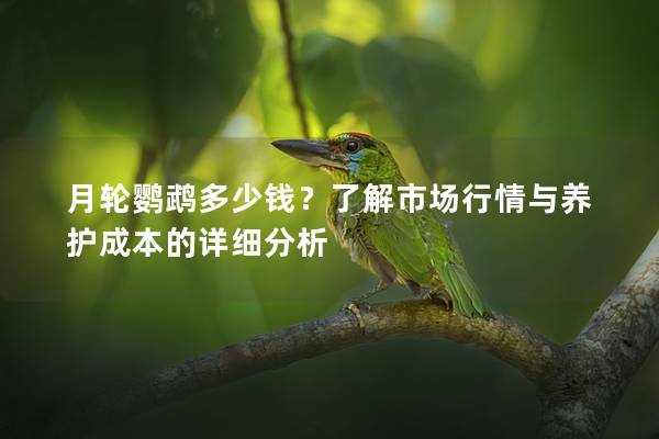月轮鹦鹉多少钱？了解市场行情与养护成本的详细分析