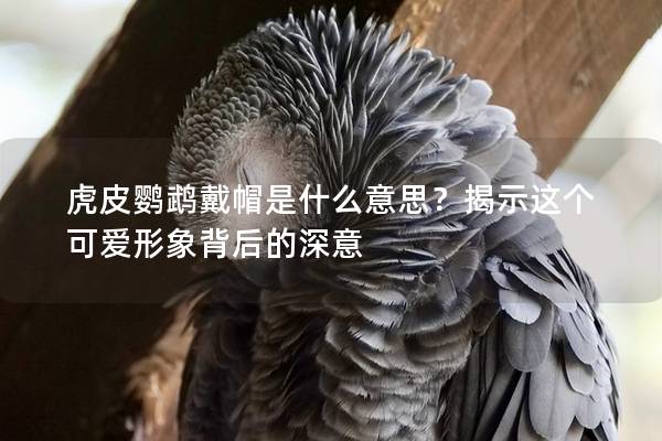 虎皮鹦鹉戴帽是什么意思？揭示这个可爱形象背后的深意