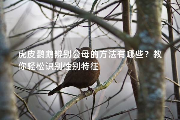 虎皮鹦鹉辨别公母的方法有哪些？教你轻松识别性别特征