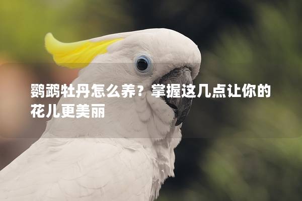 鹦鹉牡丹怎么养？掌握这几点让你的花儿更美丽