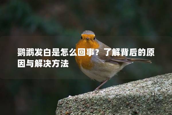 鹦鹉发白是怎么回事？了解背后的原因与解决方法