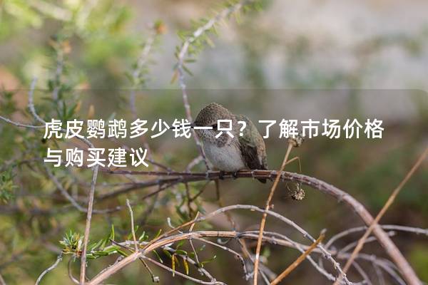 虎皮鹦鹉多少钱一只？了解市场价格与购买建议