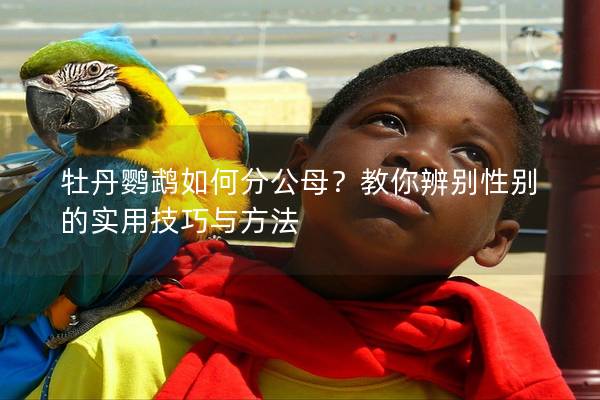 牡丹鹦鹉如何分公母？教你辨别性别的实用技巧与方法