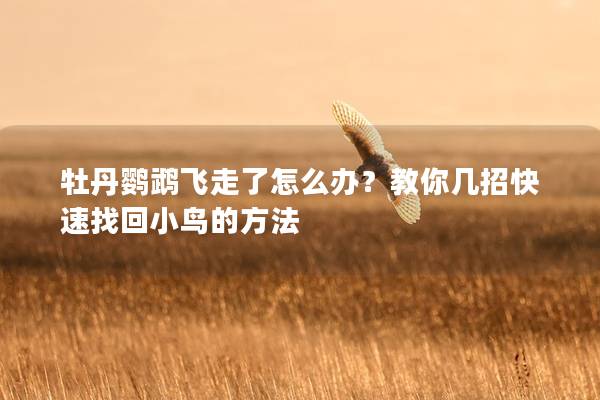 牡丹鹦鹉飞走了怎么办？教你几招快速找回小鸟的方法