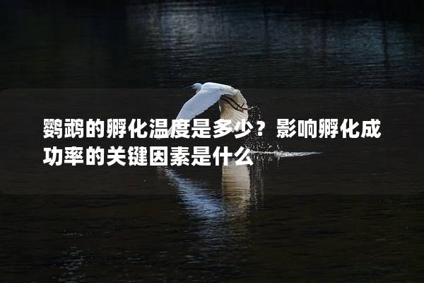 鹦鹉的孵化温度是多少？影响孵化成功率的关键因素是什么