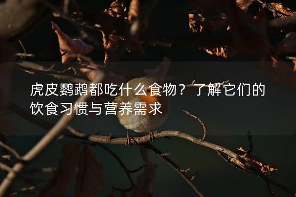 虎皮鹦鹉都吃什么食物？了解它们的饮食习惯与营养需求