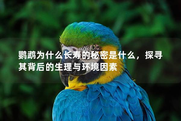 鹦鹉为什么长寿的秘密是什么，探寻其背后的生理与环境因素