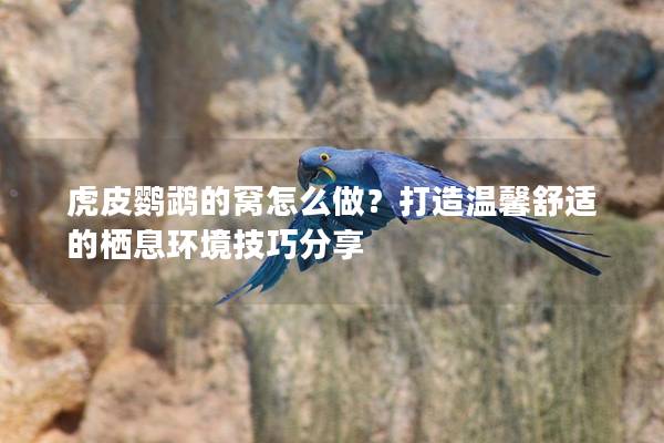 虎皮鹦鹉的窝怎么做？打造温馨舒适的栖息环境技巧分享