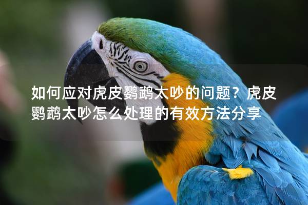 如何应对虎皮鹦鹉太吵的问题？虎皮鹦鹉太吵怎么处理的有效方法分享