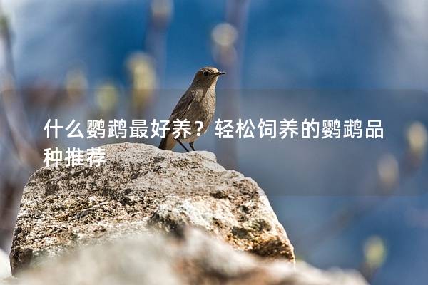 什么鹦鹉最好养？轻松饲养的鹦鹉品种推荐