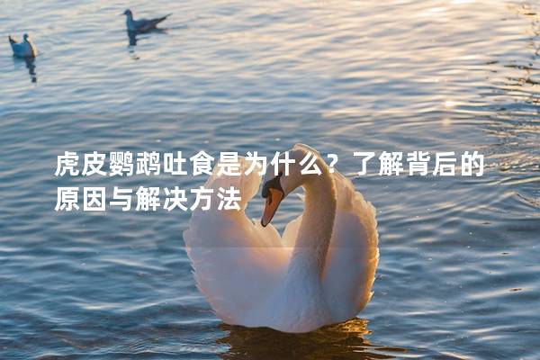 虎皮鹦鹉吐食是为什么？了解背后的原因与解决方法