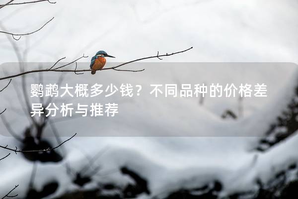 鹦鹉大概多少钱？不同品种的价格差异分析与推荐
