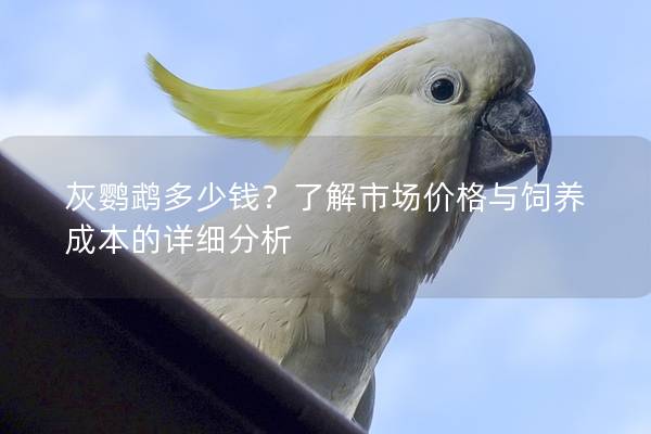 灰鹦鹉多少钱？了解市场价格与饲养成本的详细分析