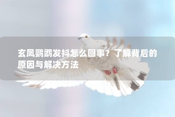 玄凤鹦鹉发抖怎么回事？了解背后的原因与解决方法