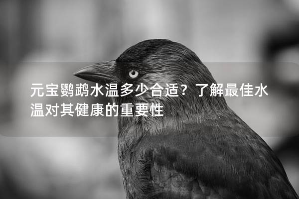 元宝鹦鹉水温多少合适？了解最佳水温对其健康的重要性