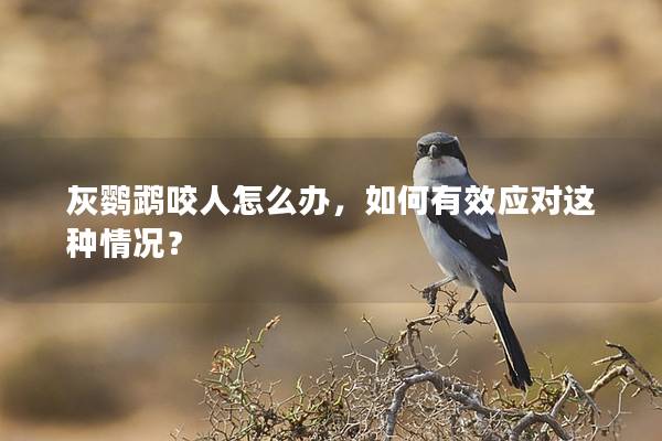灰鹦鹉咬人怎么办，如何有效应对这种情况？