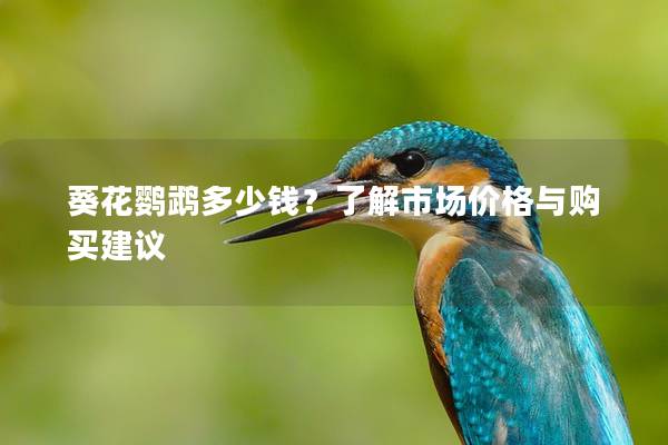 葵花鹦鹉多少钱？了解市场价格与购买建议