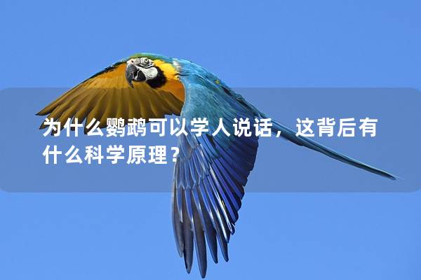 为什么鹦鹉可以学人说话，这背后有什么科学原理？