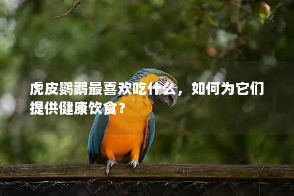 虎皮鹦鹉最喜欢吃什么，如何为它们提供健康饮食？