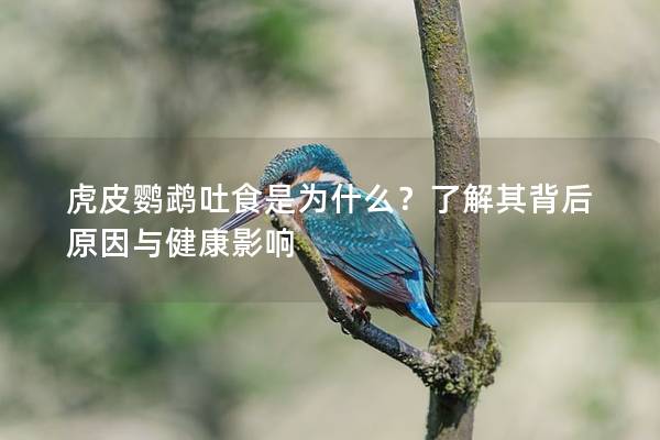 虎皮鹦鹉吐食是为什么？了解其背后原因与健康影响